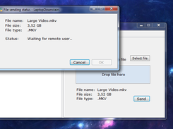 Remote user needs to accept
