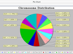 Graphically represent results