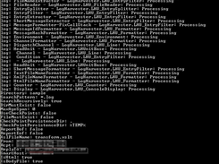 Debug run