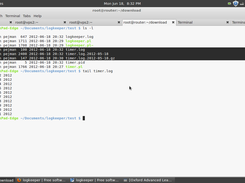 saved logs from a sample program (timer.log)