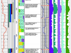 LogPlot8 Oil & Gas Log Example