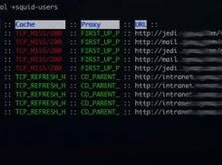 Viewing a squid access.log file using a custom template