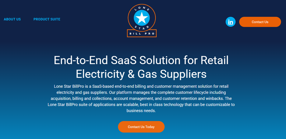 Lone Star BillPro Screenshot 1