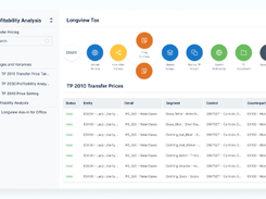 Longview Transfer Pricing Screenshot 1