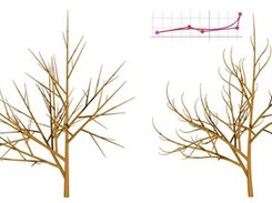 Looking for Artin's Roots in C++ Screenshot 1