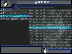 The Mp3 Player in new skin