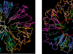 LorDG Screenshot 1