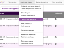 Options de gestion des risques
