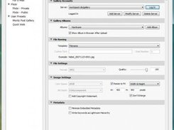Export Dialog