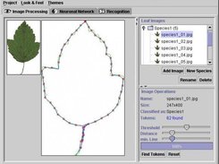 lrecog Application view