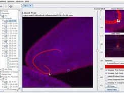01: Screenshot of an opened LSM image file and plot.