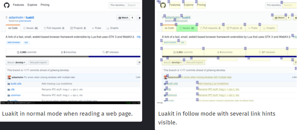 Luakit Screenshot 1