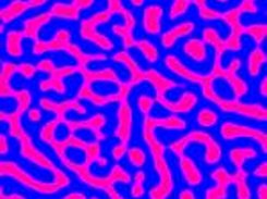 Binary Fluid Mixing