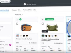 Lucidworks Screenshot 1