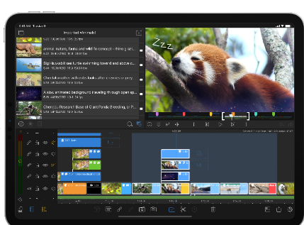 Adobe Premiere Rush vs. LumaFusion Comparison