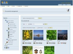 Documents management