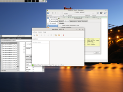 openbox, libmlk, fox toolkit.