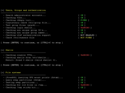Lynis screen of auditing/hardening a system