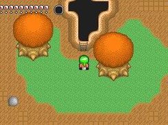 Foliage thrives in a subterranean desert cave.
