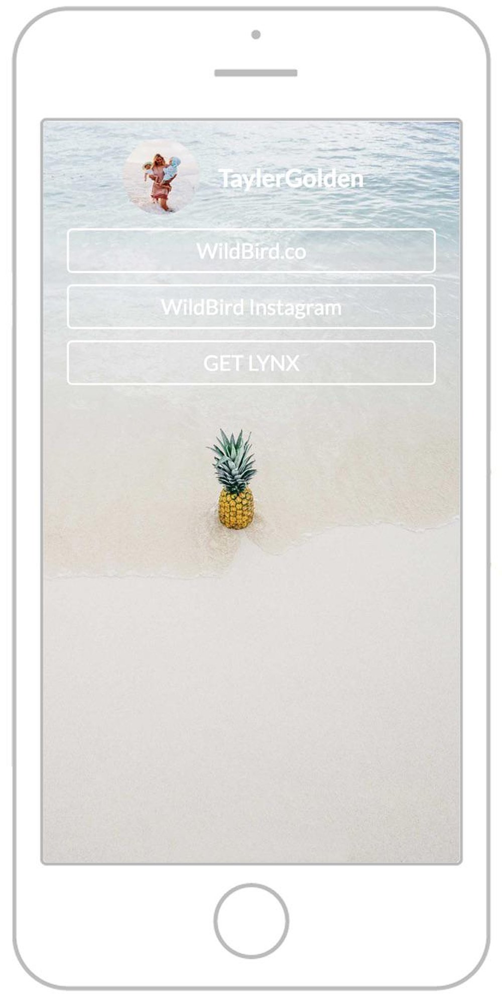 LYNX Screenshot 1