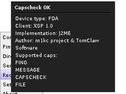 Client capabilities