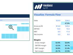 Formula Auditing