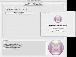 PHP version switching