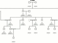 Madeline 2.0 Pedigree Drawing Engine output example.