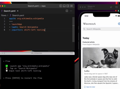 Maestro Screenshot 1