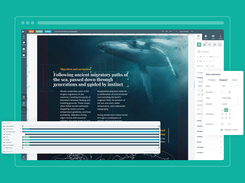 Set up scroll and viewport-based animations with custom timing, easing, and direction using the Pro editor's animation timeline.