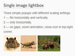 Magnific Popup Screenshot 1