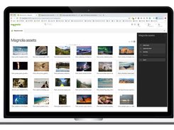 Magnolia Digital Asset Manager