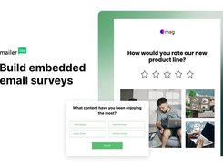 Newsletter surveys