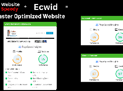 Ecwid speed optimization