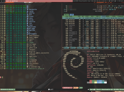 MalbianLinux - DWM