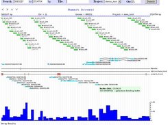 Mammot main browser window