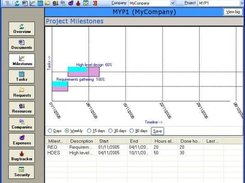 Project Milestones