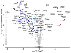 MANTI's polvops N-termini-specific volcano on the VPE0/WT HUNTER tutorial data