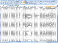 Main results file (tabular text) after import into Excel