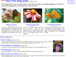 Yes we do blogging too.  Although, Mara is primarily a Website frontend, not a blog repurposed as one!