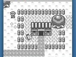 The Legend of Zelda: Link's Awakening on Mac OS X 10.4