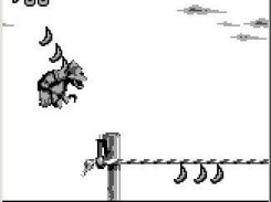 Donkey Kong Land 3
