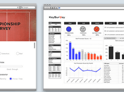 Key Survey Screenshot 2