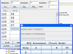 MCQ Assessment (Desktop)