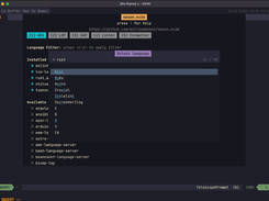 mason.nvim Screenshot 2