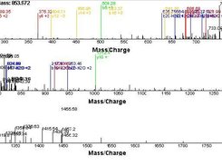 Main Graph of the Mass Spec Interface