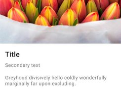 Component sample - elevated card