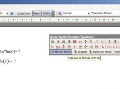 Formula as typed in and its rendering.