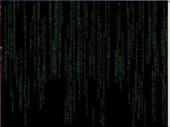 Matrix bash shell script Screenshot 1