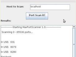 MaxPortScanner in use